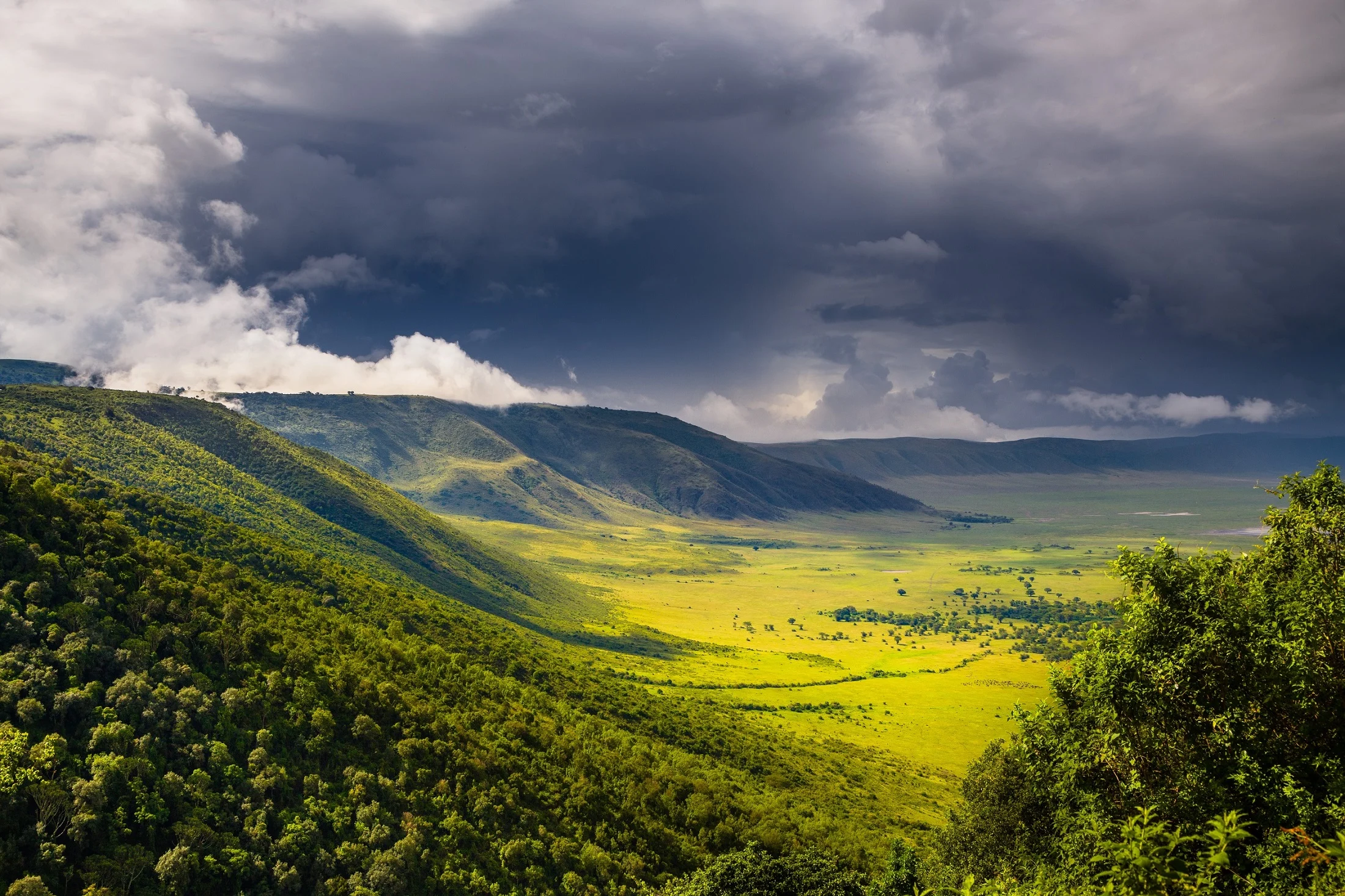 IM_TZ_NCAA_Lions-Paw-Camp_Scenery-mountains