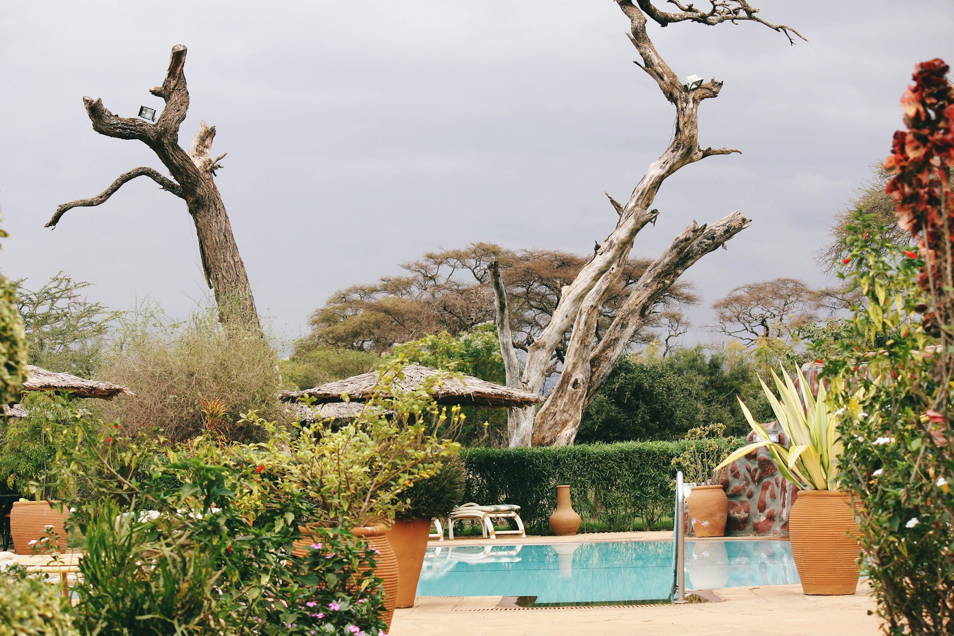 imani-manyara-RL6pFbK6ln0-unsplash