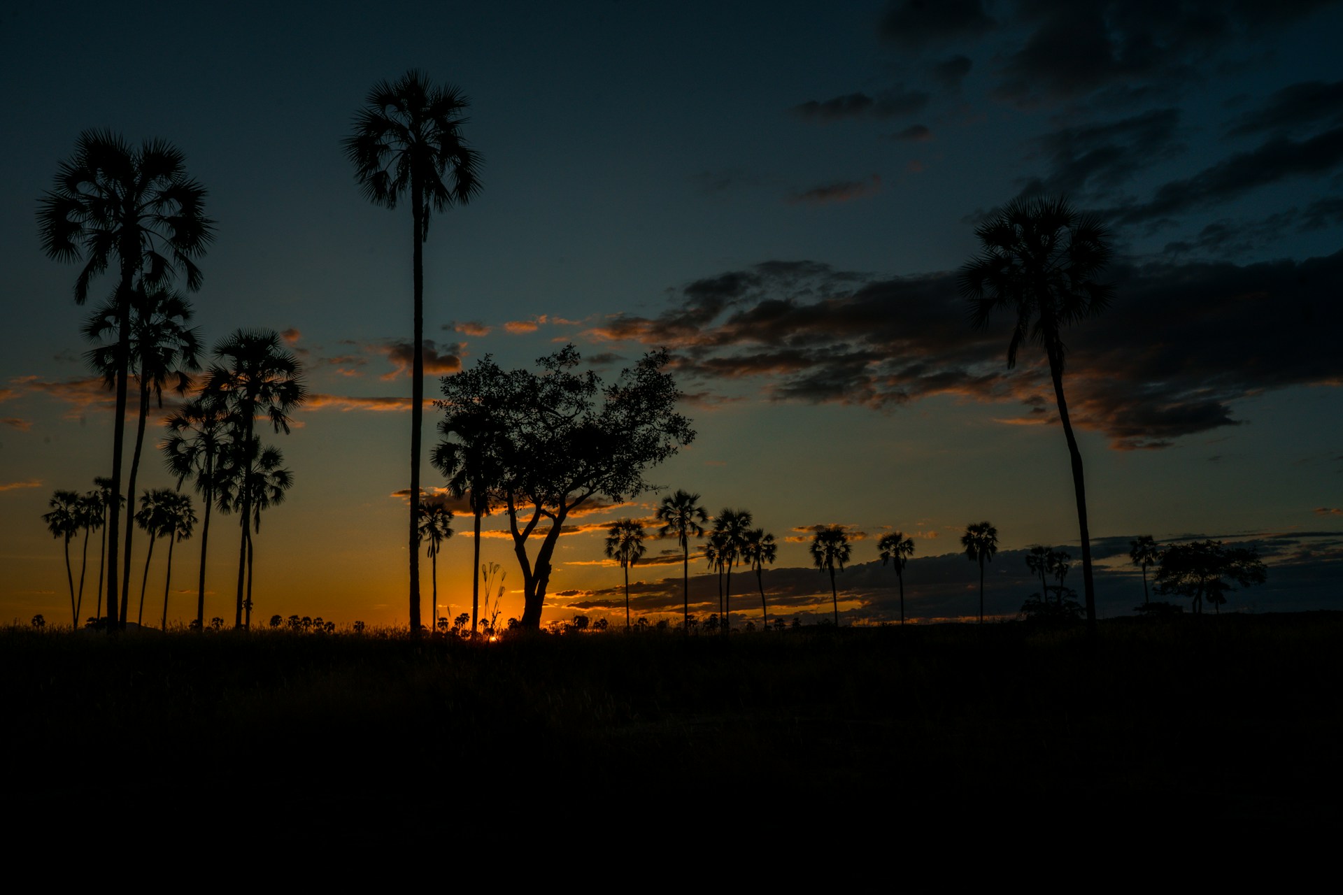 samwel-nsyuka-0rgMqd90Anc-unsplash