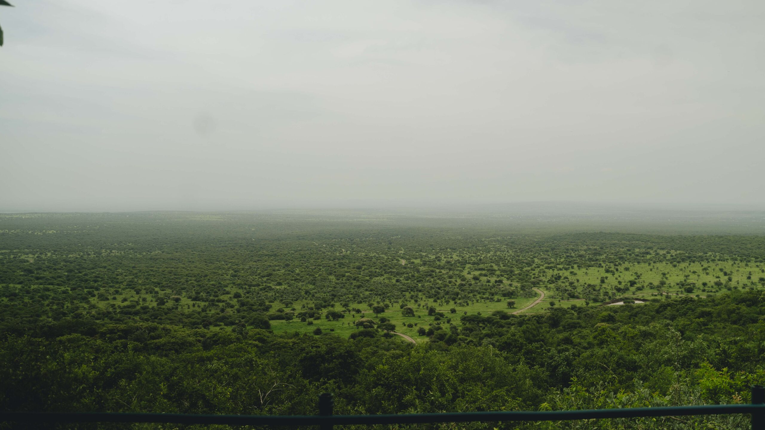 IM_TZ_MAK_Landscape-3-scaled-1