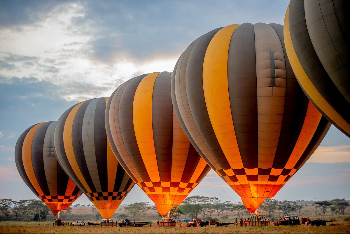 miracle-experience-balloon