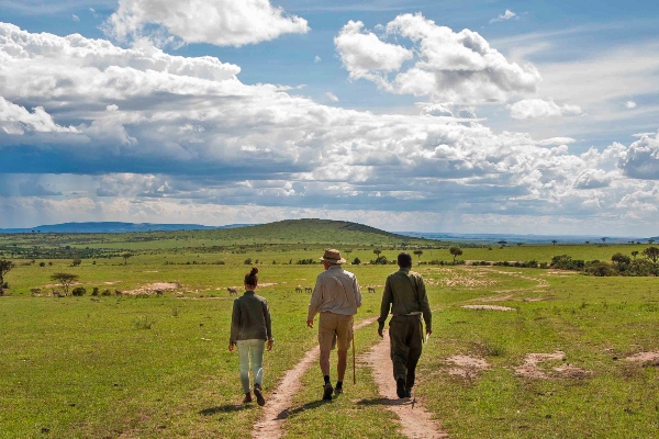 nature-bush-walks-01