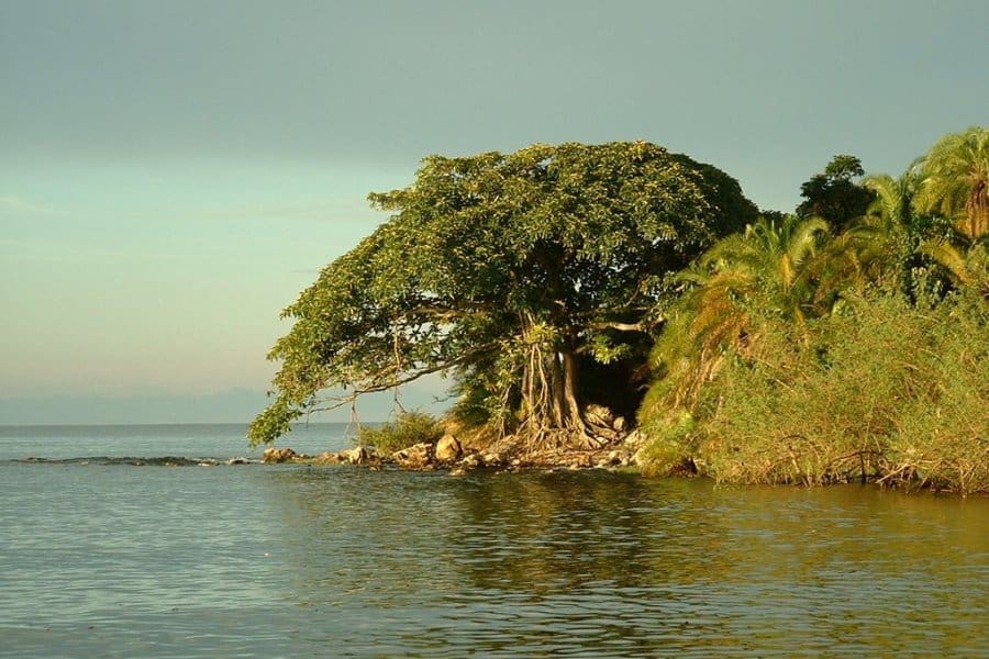 rubondo-island5