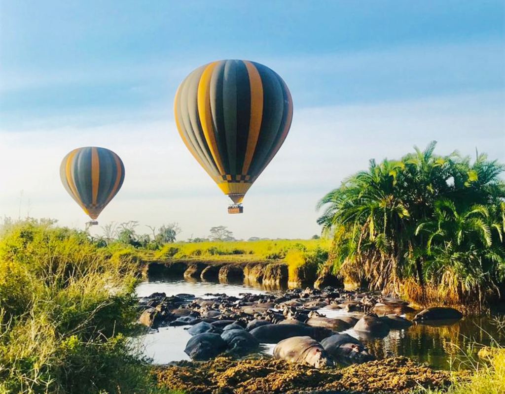 tarangire-balloon-oasis